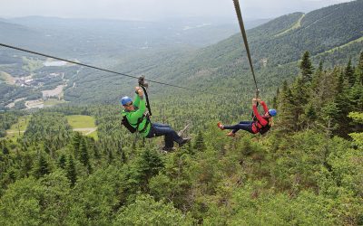 Zip Line Expansion Approved