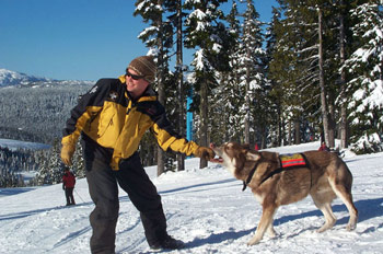 Avalanche Dog to the Rescue!